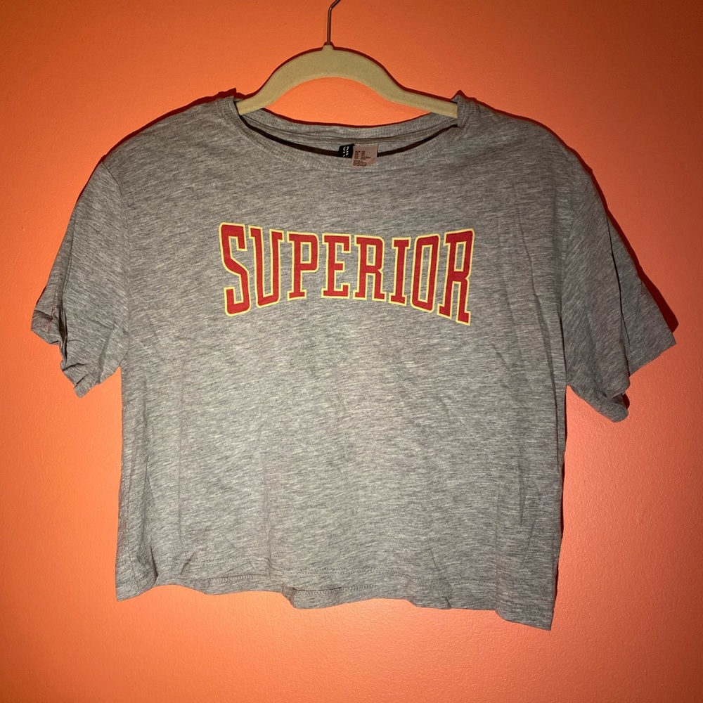 Superior crop top